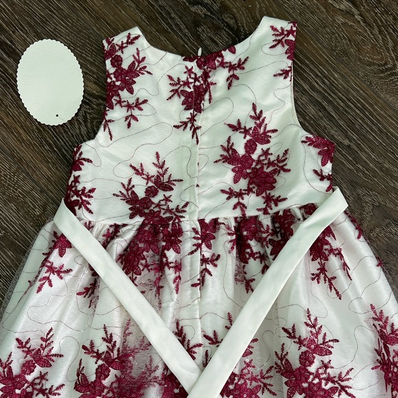 American Princess Dress - Picture 11 of 14